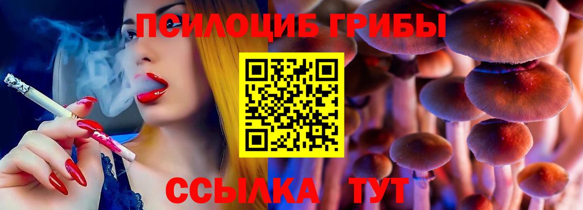 Псилоцибиновые грибы Cubensis  Вход с VPN  Кинель  Псилоцибиновые грибы MAGIC MUSHROOMS 