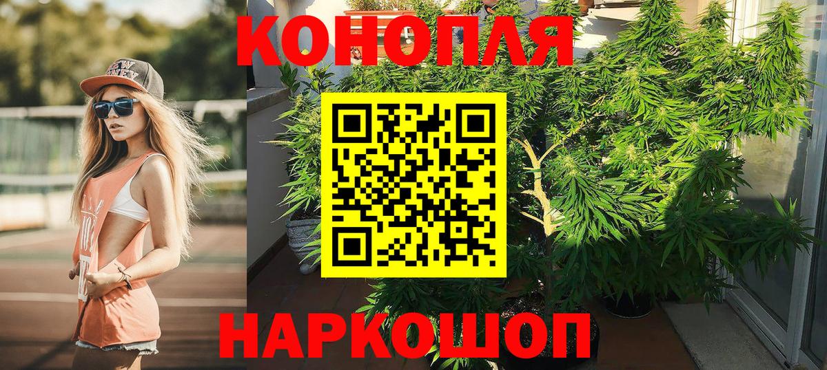 Бошки Шишки VHQ  Канабис тримм  Вход с VPN  Кинель  Конопля LSD WEED  Марихуана Amnesia 